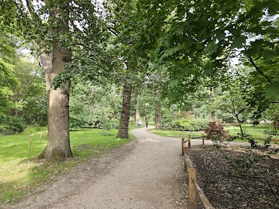 Bushy Park
